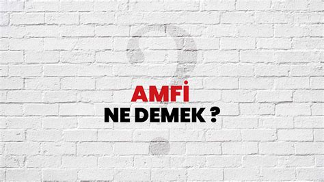 Amfi Ne Demek?